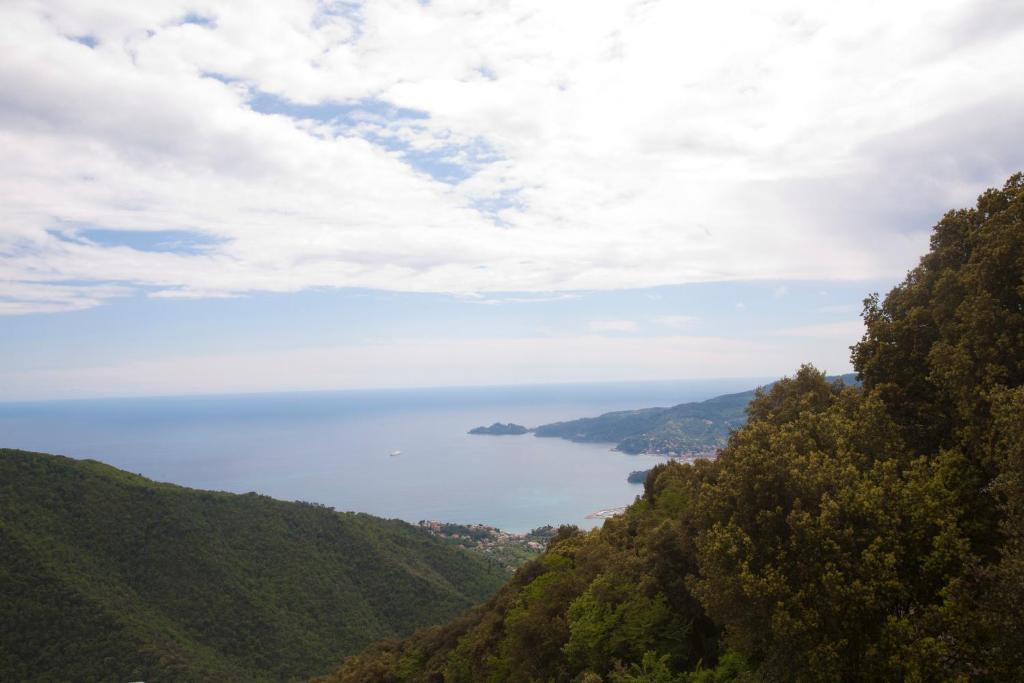 Montallegro 2* Rapallo