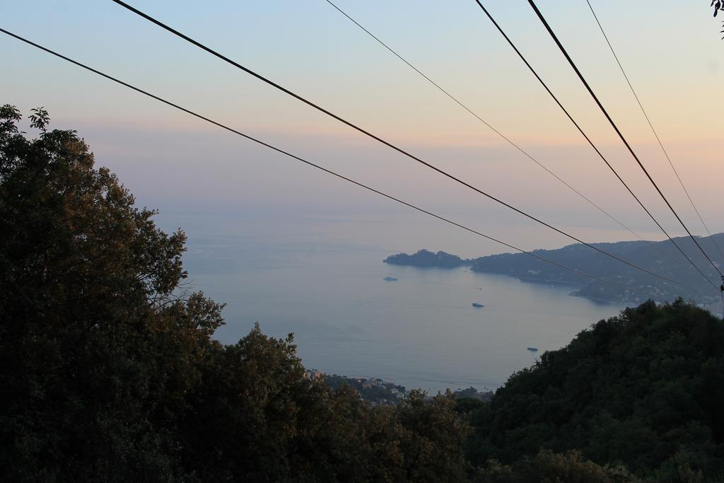 Montallegro Hotel Rapallo