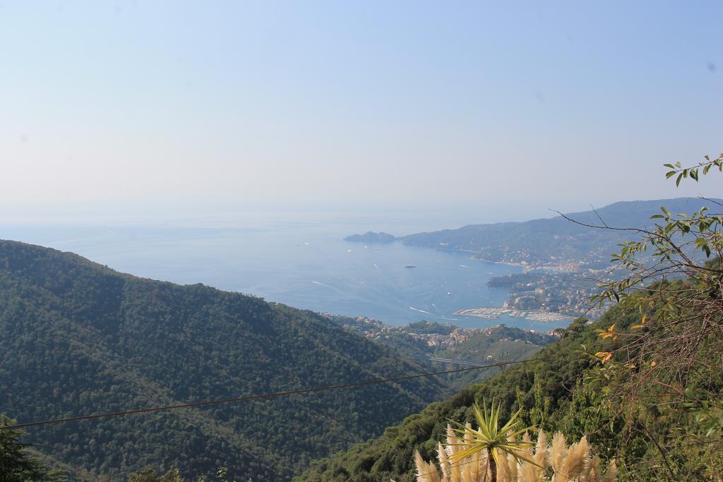 Montallegro 2* Rapallo