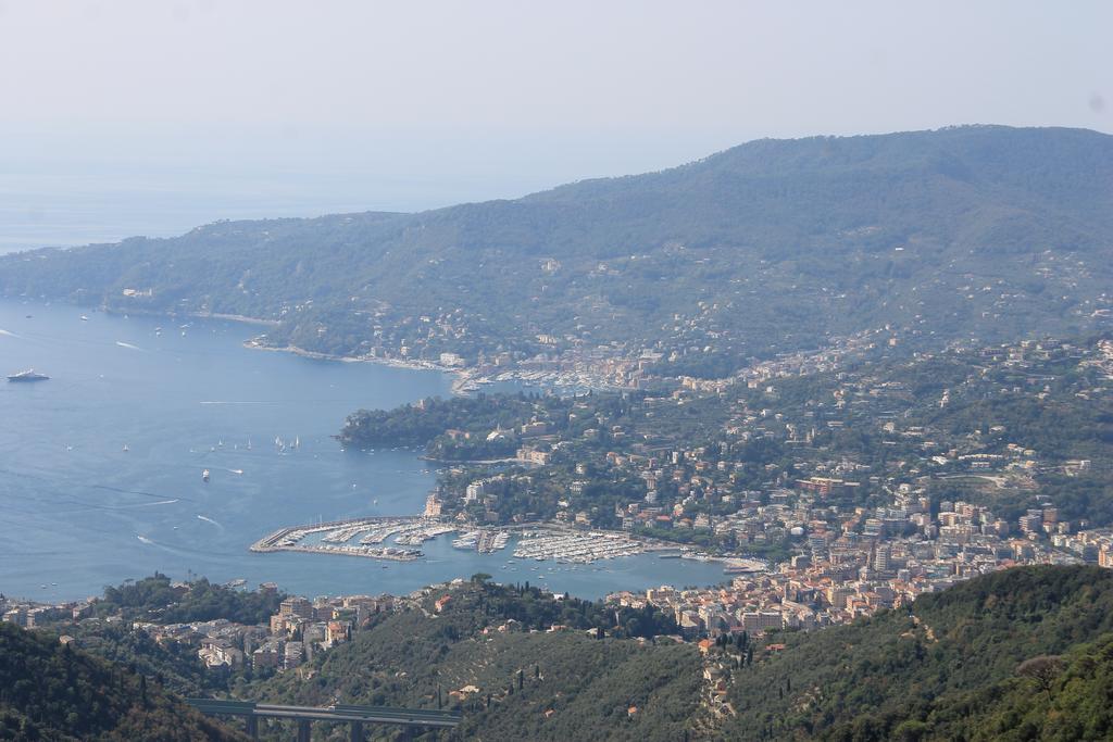 Montallegro 2* Rapallo