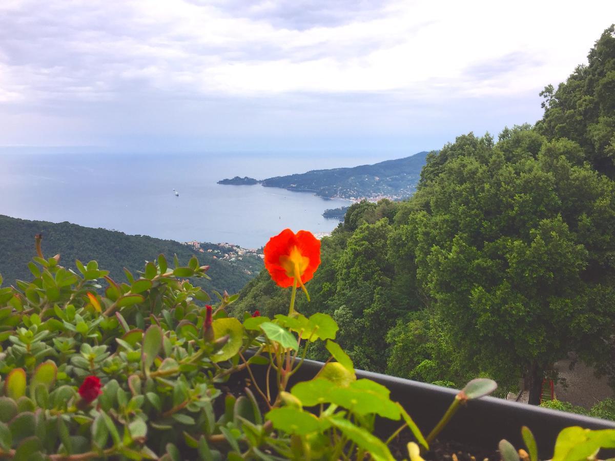 Montallegro Hotel Rapallo